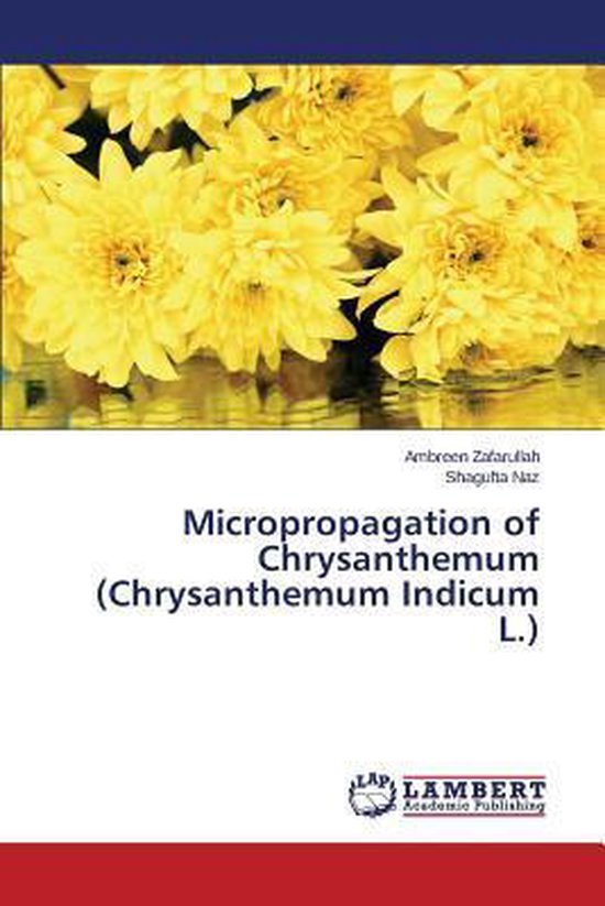 Micropropagation of Chrysanthemum (Chrysanthemum Indicum L.)