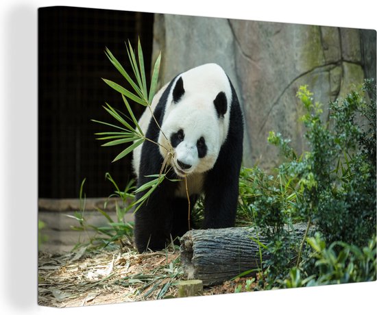 Grande toile panda 180x120 cm - Tirage photo sur toile (Décoration murale salon / chambre) / Animaux Peintures sur toile XXL / Grand format!