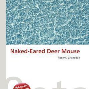 Naked-Eared Deer Mouse Rodent, Cricetidae Naked-Eared Deer Mouse Rodent, Cricetidae