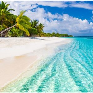 Painting King – Peinture sur toile Mer et Plage Tropicale – 30 x 20 cm