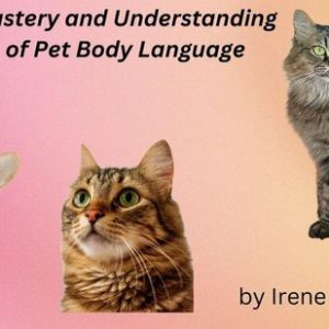 Mastery and Understanding of Pet Body LanguageEbook Mastery and Understanding of Pet Body LanguageEbook