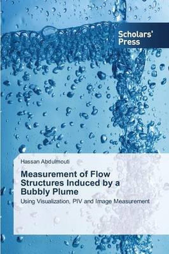 Measurement of Flow Structures Induced by a Bubbly Plume Using Visualization, PIV and Image Measurement
