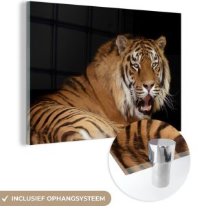 MuchoWow® Peinture sur verre – Tigre – Bâillement – Zwart – 150×100 cm – Peintures sur verre acrylique – Photo sur Glas MuchoWow® Peinture sur verre – Tigre – Bâillement – Zwart – 150×100 cm – Peintures sur verre acrylique – Photo sur Glas