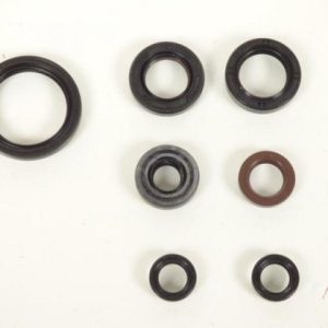 Joint moteur pour Moto Yamaha 400 YZF 1998 à 1999 Neuf Joint moteur pour Moto Yamaha 400 YZF 1998 à 1999 Neuf