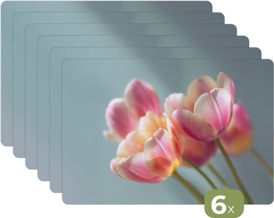 Napperons - 6 pièces - 45 x 30 cm - Sets de table en plastique - Tulipes - Roses - Tiges - Dessous de Assiettes - Décoration de table - Accessoires de décoration de table de Cuisine - Dessous de Vinyl - Décoration de table