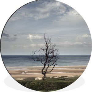 Le célèbre Omaha Beach aux Plages du D-Day en Normandie Cercle mural aluminium ⌀ 30 cm / Mer et plage – tirage photo sur cercle mural / cercle vivant / cercle jardin (décoration murale) Le célèbre Omaha Beach aux Plages du D-Day en Normandie Cercle mural aluminium ⌀ 30 cm / Mer et plage – tirage photo sur cercle mural / cercle vivant / cercle jardin (décoration murale)