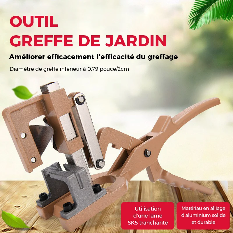 Machine à Greffer – Image 3