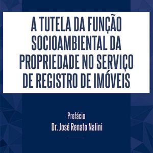 O título de representação do crédito de carbono e a sua natureza jurídicaEbook