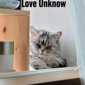 Love Known, Love UnknownEbook Love Known, Love UnknownEbook