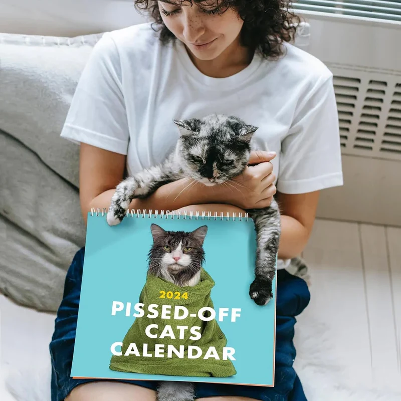 😸2024 Calendrier des chats énervés – Image 3