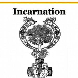 Ouvrages ce Christophe Savard 11 – IncarnationEbook