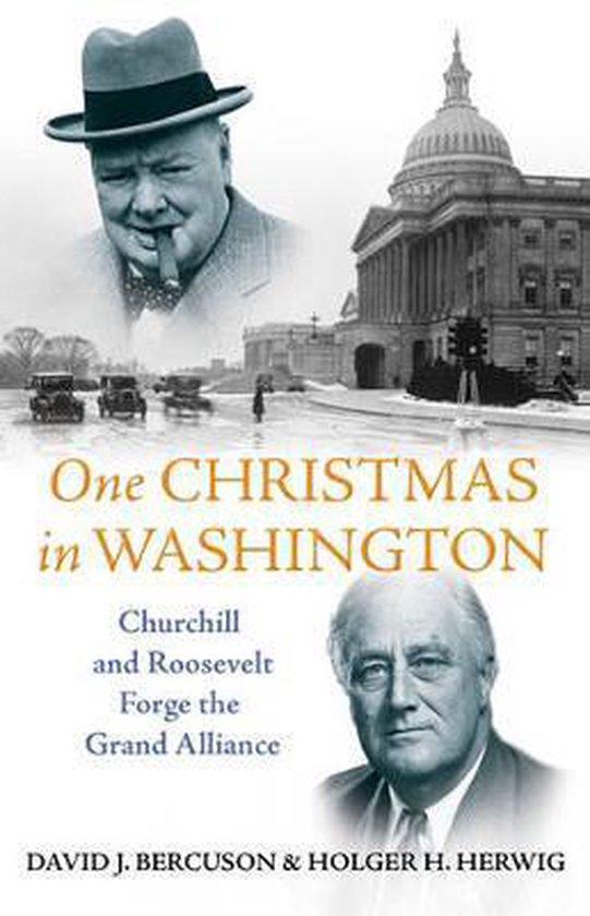 One Christmas in Washington