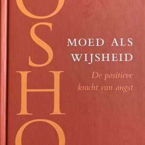 Moed als wijsheid De positieve kracht van angst. Spirituele levenslessen.