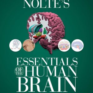 Nolte&rsquo;s Essentials of the Human Brain E-BookEbook Nolte&rsquo;s Essentials of the Human Brain E-Book