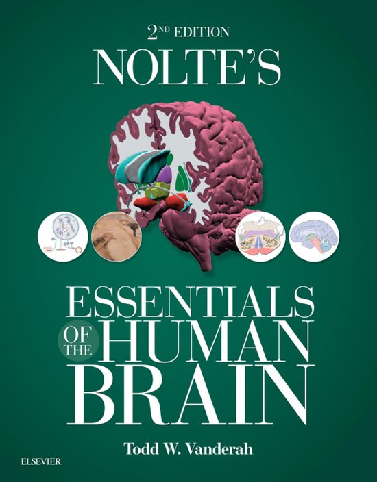 Nolte's Essentials of the Human Brain E-BookEbook Nolte's Essentials of the Human Brain E-Book