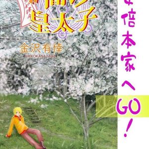 闇の皇太子裏 – 安倍本家へGO!Ebook 闇の皇太子裏 – 安倍本家へGO!Ebook