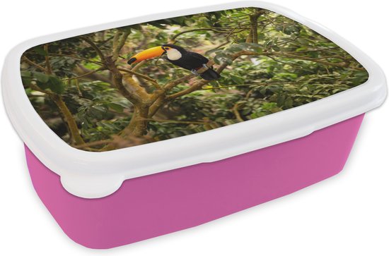 Lunch box Rose - Lunch box - Boîte à pain - Vogel - Toucan - Jungle - Nature - Tropical - 18x12x6 cm - Enfants - Fille