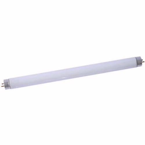 Lamp néon