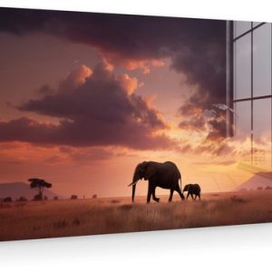 MuchoWow® Peinture sur verre 120×60 cm – Peinture acrylique sur verre – Éléphants – Prairie – Coucher de soleil – Photo sur verre – Décoration murale salon – Décoration murale chambre à coucher – Peintures