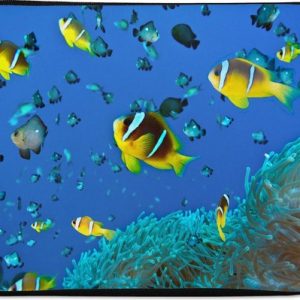Housse pour ordinateur portable 13 pouces – Poisson – Corail – Groupe – Housse pour ordinateur portable Housse pour ordinateur portable 13 pouces – Poisson – Corail – Groupe – Housse pour ordinateur portable
