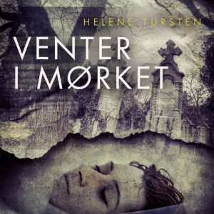 Irene Huss-serien 9 – Venter i mørketEbook