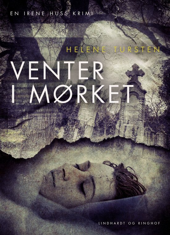 Irene Huss-serien 9 - Venter i mørketEbook