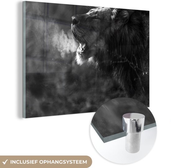 MuchoWow® Peinture sur verre - Lion - Sauvage - Herbe - 90x60 cm - Peintures sur verre acrylique - Photo sur Glas