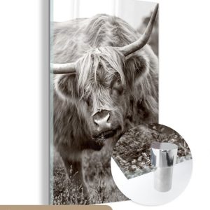 MuchoWow® Peinture sur Verre – Scottish Highlander – Zwart – Wit – Cornes – 100×150 cm – Peintures sur Verre Acrylique – Photo sur Glas MuchoWow® Peinture sur Verre – Scottish Highlander – Zwart – Wit – Cornes – 100×150 cm – Peintures sur Verre Acrylique – Photo sur Glas