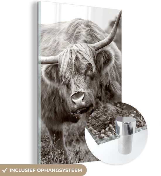 MuchoWow® Peinture sur Verre - Scottish Highlander - Zwart - Wit - Cornes - 100x150 cm - Peintures sur Verre Acrylique - Photo sur Glas