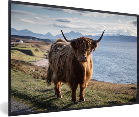 Highlander écossais à la côte cadre noir sans support