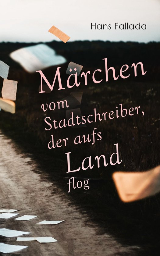 Märchen vom Stadtschreiber, der aufs Land flogEbook