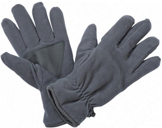 Gants en polaire Thinsulate - Taille L / XL - Aubergine