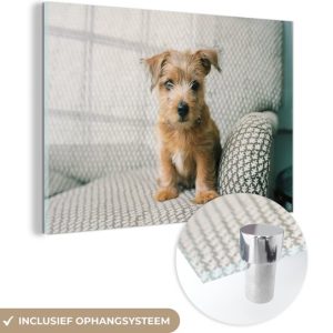 MuchoWow® Peinture sur verre 120×80 cm – Peinture sur verre acrylique – Un chiot est assis sur le canapé – Photo sur verre – Peintures MuchoWow® Peinture sur verre 120×80 cm – Peinture sur verre acrylique – Un chiot est assis sur le canapé – Photo sur verre – Peintures