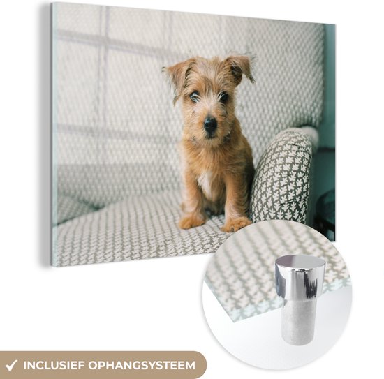 MuchoWow® Peinture sur verre 120x80 cm - Peinture sur verre acrylique - Un chiot est assis sur le canapé - Photo sur verre - Peintures