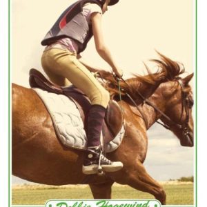 Manege de Hoefslag – In galop Manege de Hoefslag – In galop