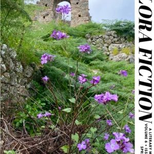 Flora Fiction Literary Magazine Spring & Summer 2025 Volume 6 Issues 1 & 2 Flora Fiction Literary Magazine Spring & Summer 2025 Volume 6 Issues 1 & 2