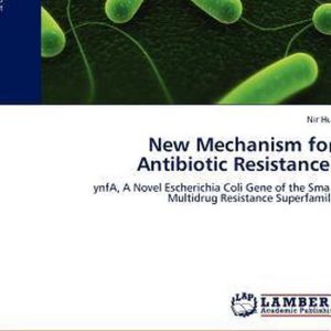 New Mechanism for Antibiotic Resistance ynfA, A Novel Escherichia Coli Gene of the Small Multidrug Resistance Superfamily