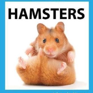 My Favorite Pet Hamsters My Favorite Pet Hamsters