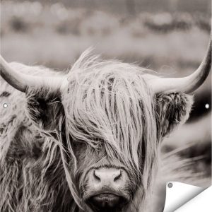 Gards Affiche de jardin Vache Highlander écossaise – Zwart Wit – 90×90 cm – Toile jardin – Décoration de jardin – Décoration murale extérieur – Tableau jardin Gards Affiche de jardin Vache Highlander écossaise – Zwart Wit – 90×90 cm – Toile jardin – Décoration de jardin – Décoration murale extérieur – Tableau jardin