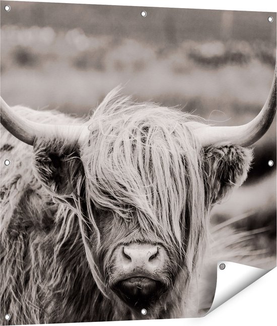 Gards Affiche de jardin Vache Highlander écossaise - Zwart Wit - 90x90 cm - Toile jardin - Décoration de jardin - Décoration murale extérieur - Tableau jardin
