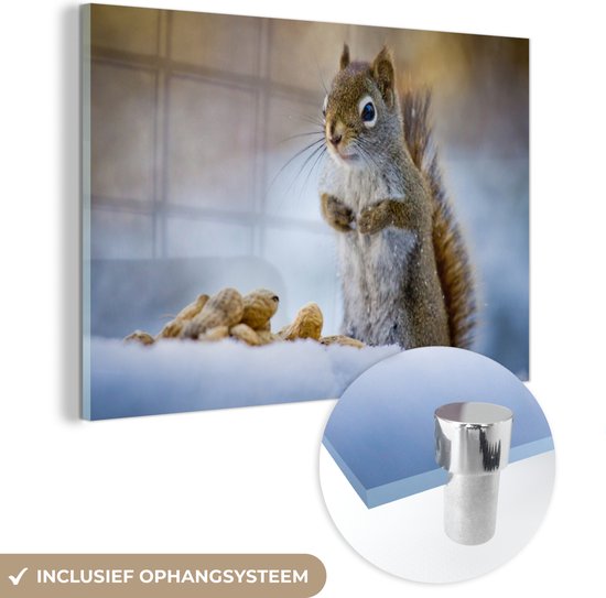 MuchoWow® Peinture sur verre 150x100 cm - Peinture acrylique sur verre - Écureuil - Noix - Neige - Hiver - Rongeurs - Saisons - Photo sur verre - Peintures