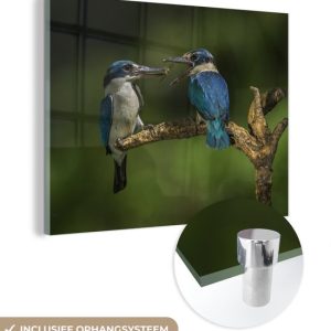 MuchoWow® Peinture sur verre – Vogels – Martin-pêcheur – Branche – 80×60 cm – Peintures sur verre acrylique – Photo sur Glas MuchoWow® Peinture sur verre – Vogels – Martin-pêcheur – Branche – 80×60 cm – Peintures sur verre acrylique – Photo sur Glas
