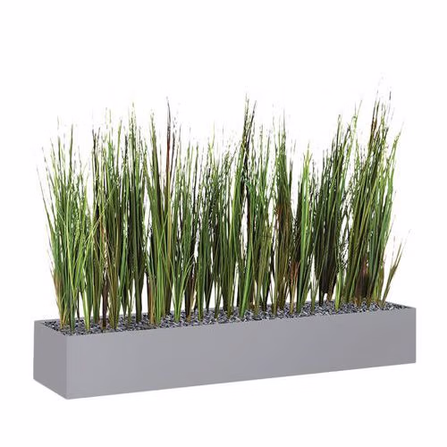 Jardinière basse JB12 Herbes – Image 2