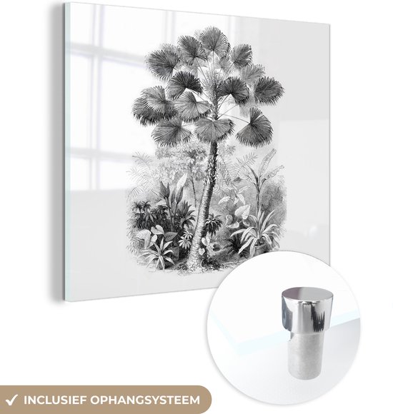 MuchoWow® Peinture sur verre 50x50 cm - Peinture sur verre acrylique - Design - Nature - Arbre - Photo sur verre - Peintures