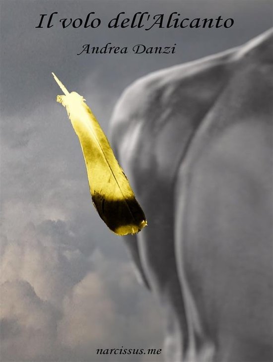 Il volo dell'AlicantoEbook