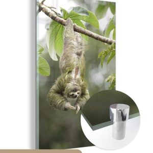 MuchoWow® Peinture sur verre 120×180 cm – Peinture sur verre acrylique – Un paresseux pend la tête en bas dans les arbres – Photo sur verre – Peintures
