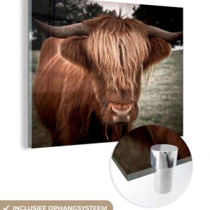 MuchoWow® Peinture sur verre 80×60 cm – Peinture sur verre acrylique – Highlander écossais – Arbre – Herbe – Photo sur verre – Peintures MuchoWow® Peinture sur verre 80×60 cm – Peinture sur verre acrylique – Highlander écossais – Arbre – Herbe – Photo sur verre – Peintures