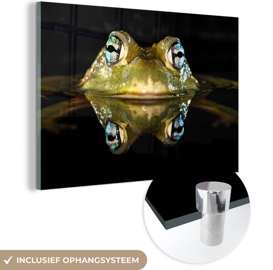 MuchoWow® Tableau en verre 30x20 cm - Peinture acrylique sur verre - Grenouille - Yeux - Portrait - Photo sur verre - Peintures