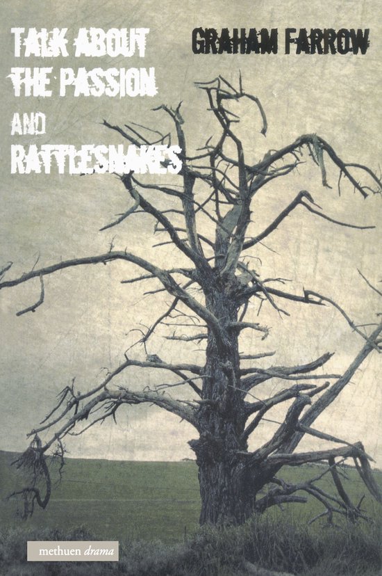 Modern Plays - Talk About The Passion' & 'Rattlesnakes'Ebook