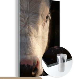 MuchoWow® Peinture sur Verre – Image Zoomée d’une Vache – 40×60 cm – Peintures sur Verre Acrylique – Photo sur Glas MuchoWow® Peinture sur Verre – Image Zoomée d’une Vache – 40×60 cm – Peintures sur Verre Acrylique – Photo sur Glas